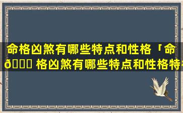 命格凶煞有哪些特点和性格「命 🐕 格凶煞有哪些特点和性格特征」